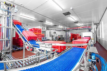 MOHN GmbH Automatisierte Fördertechnik – Originalaufnahme